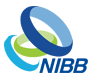 NIBB